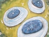 Painting by Tara Leaver: Sea Flowers