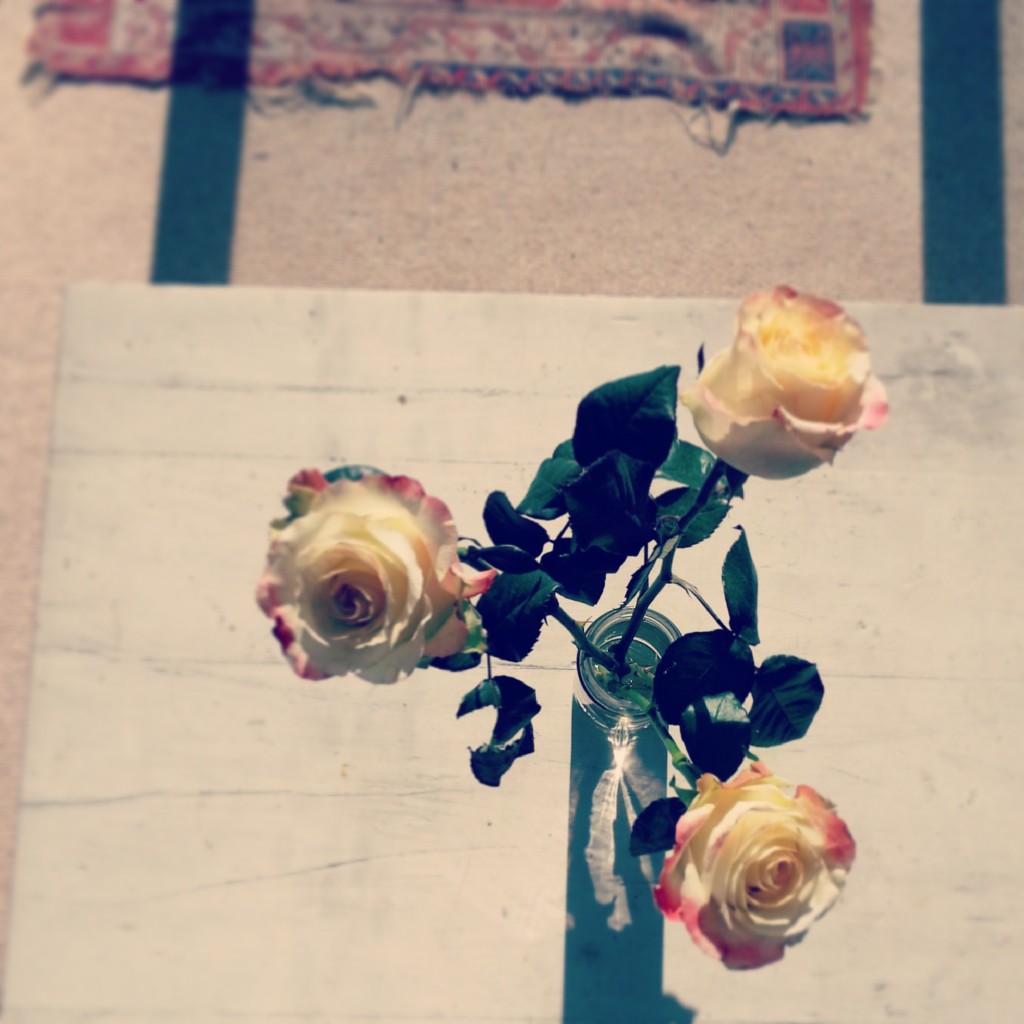 Birthday Roses {Tara Leaver}