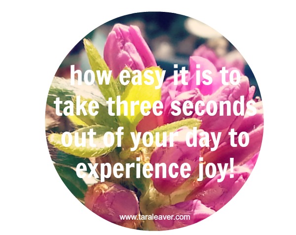 three second wonders :: an easy way to experience joy