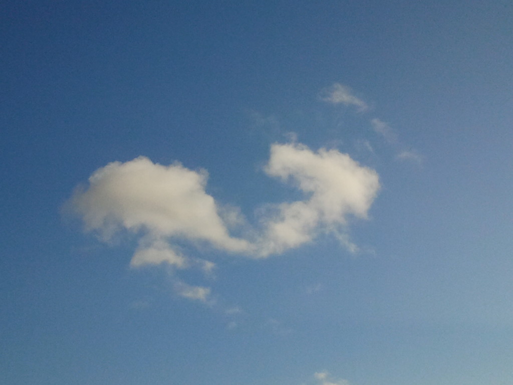 cloud whale