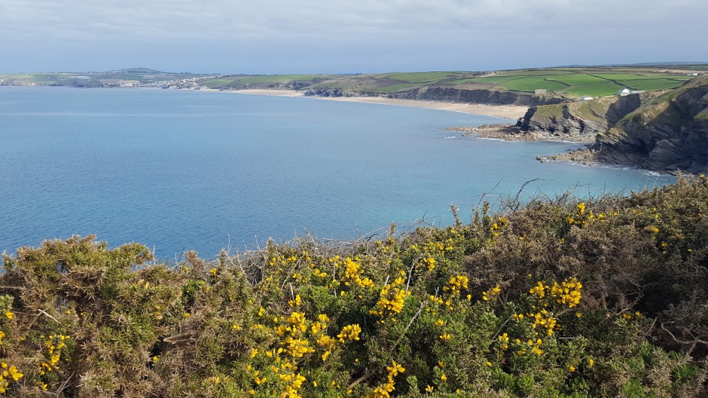 Views towards Porthleven on the coast path