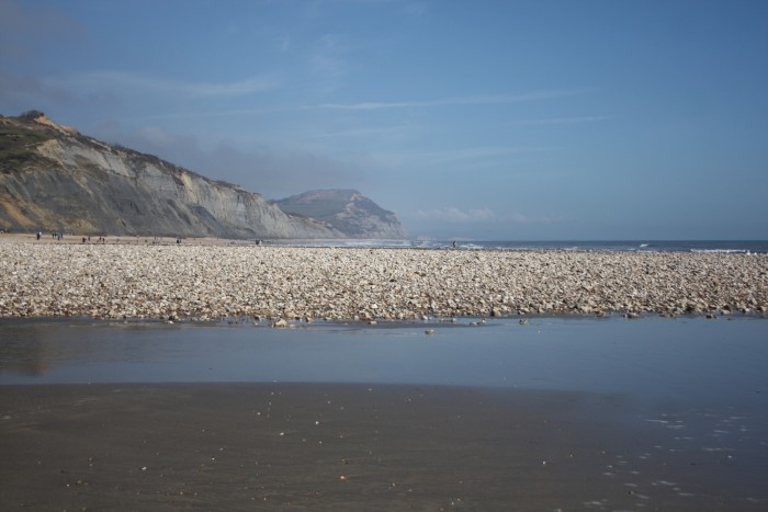 The beach at Charmouth, Dorset