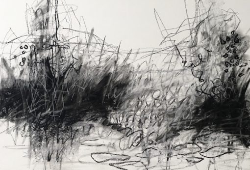 Expressive charcoal art: Student gallery - Tara Leaver