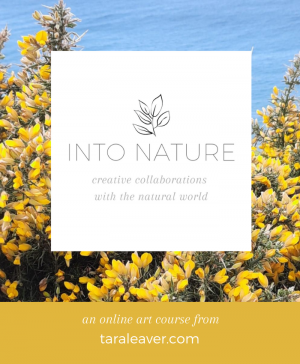 Into Nature - creative collaborations with the natural world