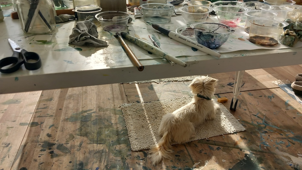 Studio companion -Poppy under the art studio table