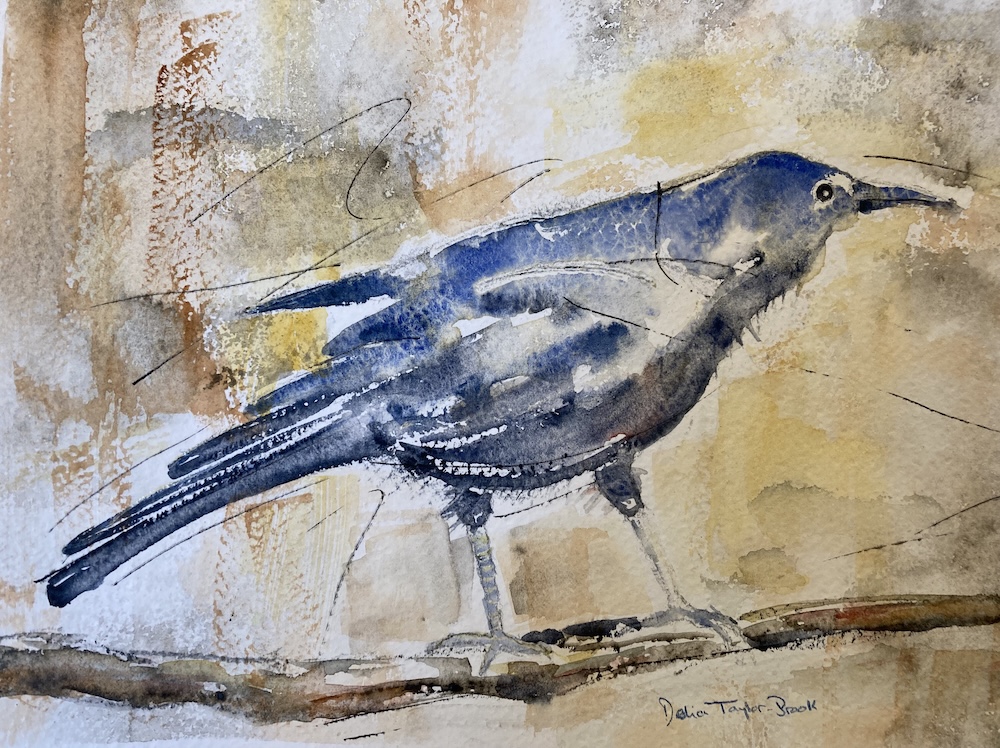 Curious Crow - - Delia Taylor-Brook