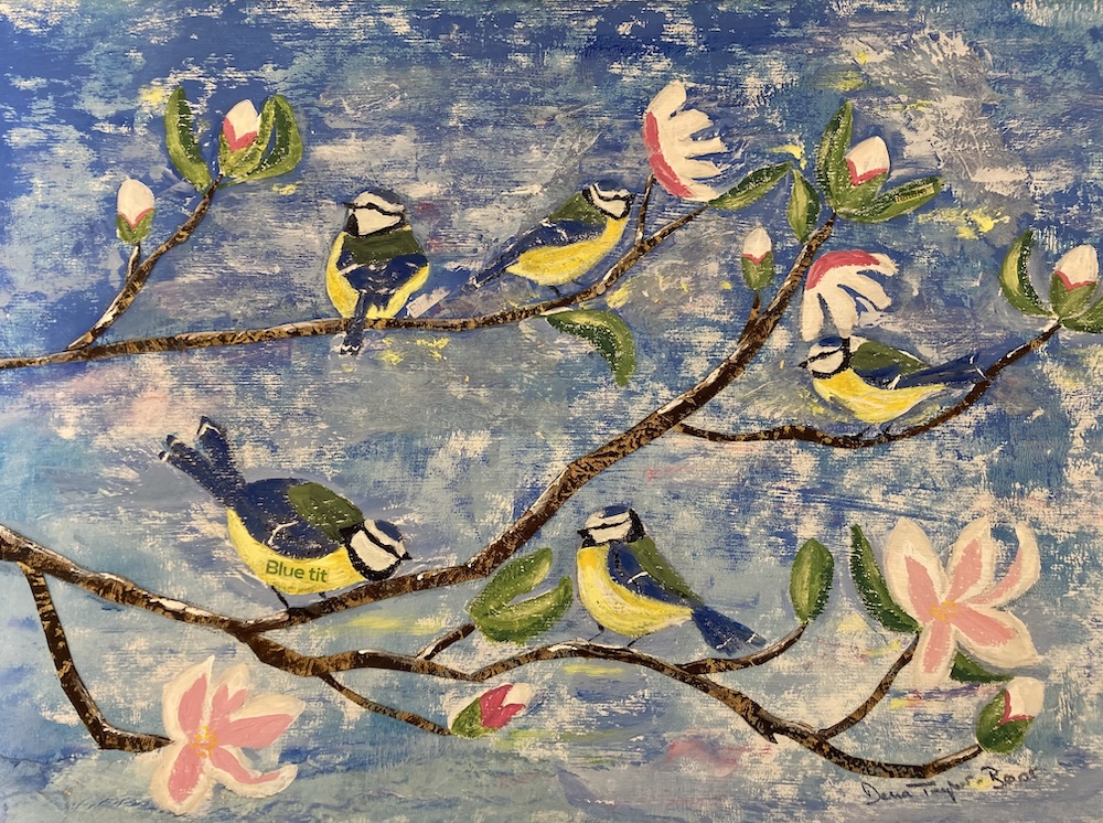 Spring Blue tits, Before - Delia Taylor-Brook