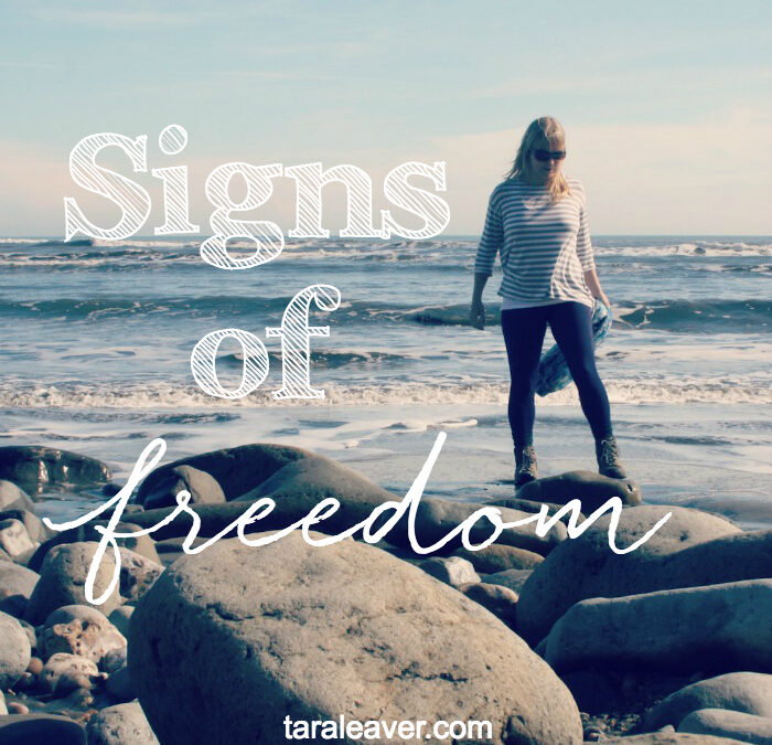 signs of freedom