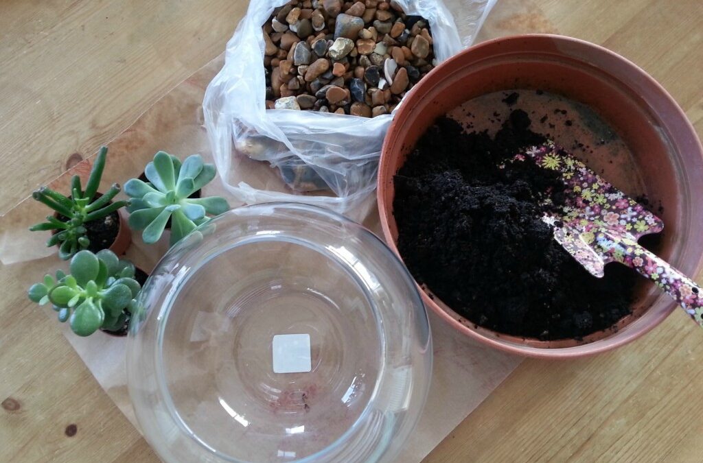 making terrariums